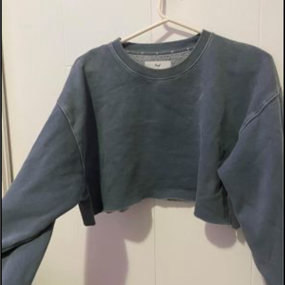 Aritzia Cropped crewneck